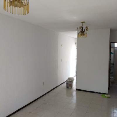 REPARACION DE MUROS Y PINTURA