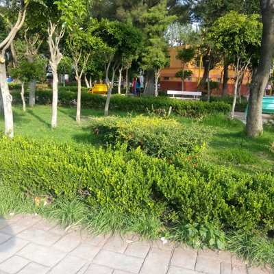 REFORESTACION