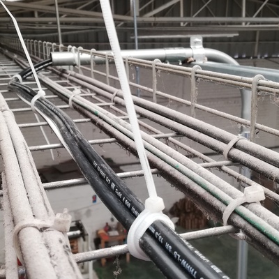 Intalaciones eléctricas de cableado estructurado en charola