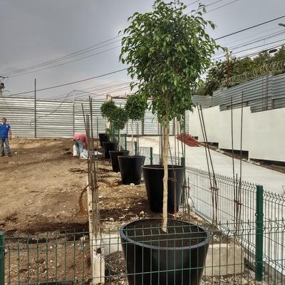 RIO HONDO - ESTADO DE MEXICO