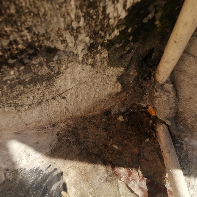 Reparación de gotera y cambio de tubería