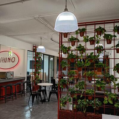 Área de Cafetería / Coworking y Zona de Break.