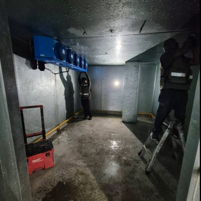 Desarmado de cuarto para calimax