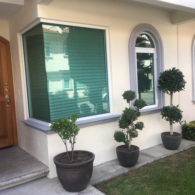 Renovación de pintura