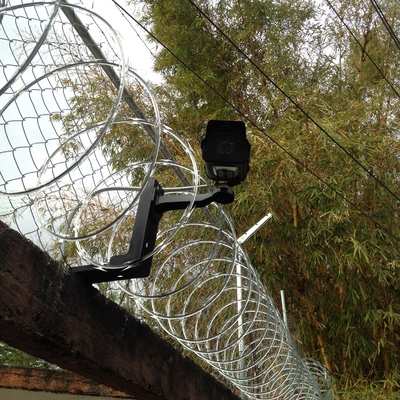 Seguridad perimetral