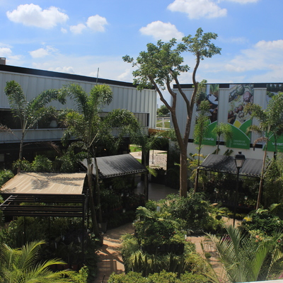 Viveria | Vista desde arriba