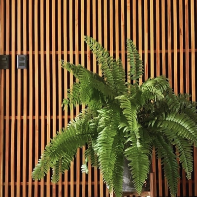 Carpintería de exterior