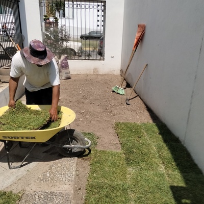 Vivero Y Jardinería Renacer