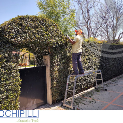 Mantenimiento de jardines