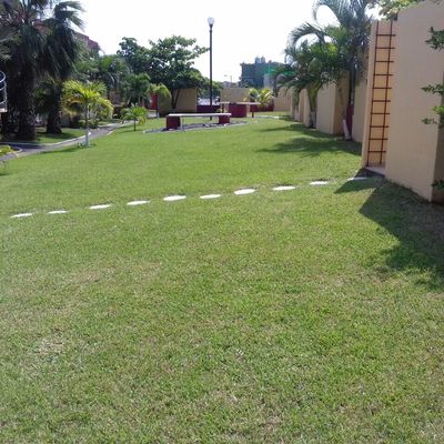 Césped verde y podado