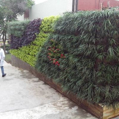 Jardin Vertical  muro verde