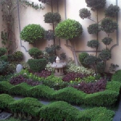 JARDINERIA RESIDENCIAL DEL BOSQUE