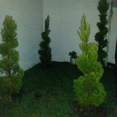 Jardinería