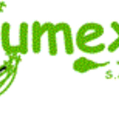 Constructora, Edificadora y Urbanizadora Mexicana S.A. de C.V.