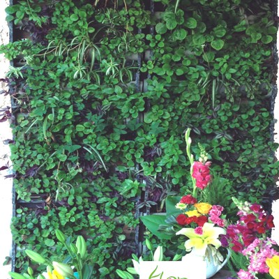 MURO VERDE FLORERIA