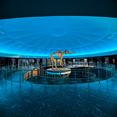 Museo de Historia Natural