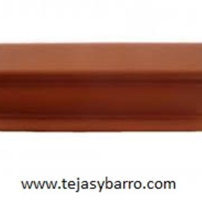 pecho  de paloma  grande