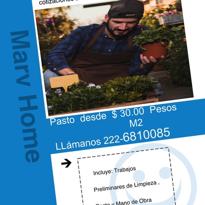 Pasto desde $30 Pesos m2
