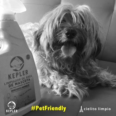 Limpieza pet-friendly