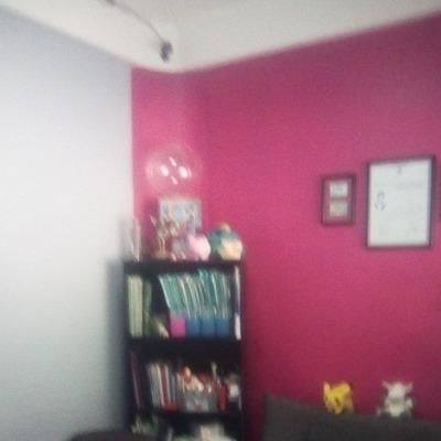 remodelar salon trabajo de pintura