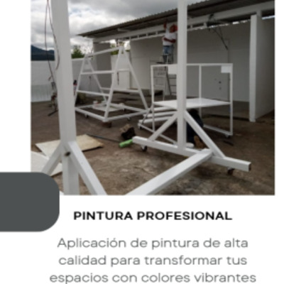 PINTURA PROFESIONAL