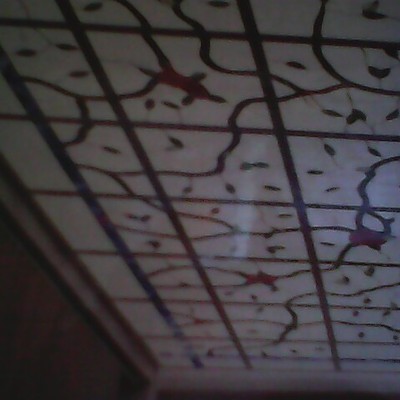 plafon de enrredaderas