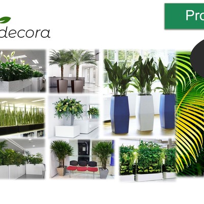 Plantas artificiales y naturales para decoración