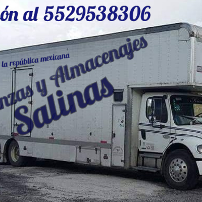 Mudanzas salinas