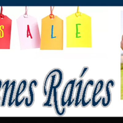 Bienes raices