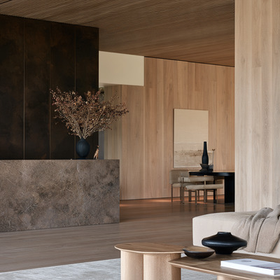 Diseño de oficina contemporánea con madera, concreto y mobiliario arquitectónico | Grupo Aldea