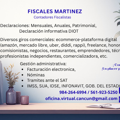 SERVICIOS PROFESIONALES