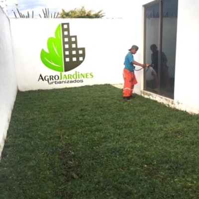 Instalación de Cesped