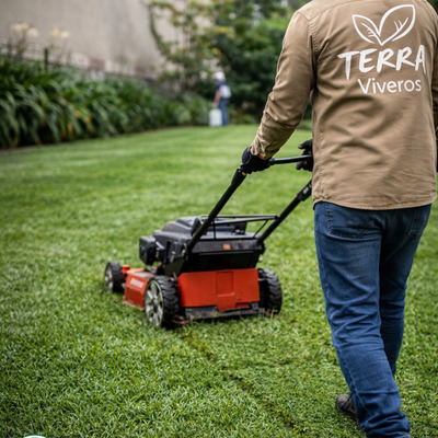 Mantenimiento de Jardines