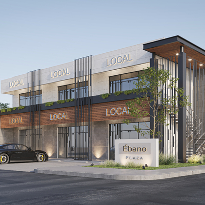 Proyecto Plaza Ébano