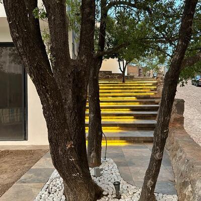 Acceso exterior con iluminación arquitectónica