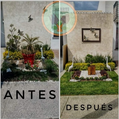 Antes y después