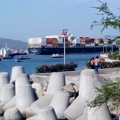 Manzanillo Colima aliados comerciales