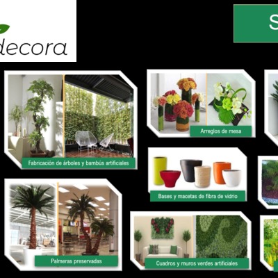Decoración de interiores con plantas