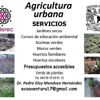 Servicios