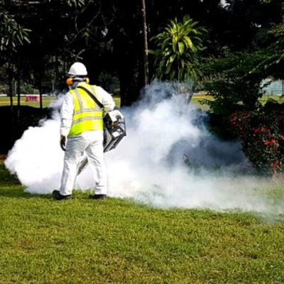 Marro-King Fumigaciones