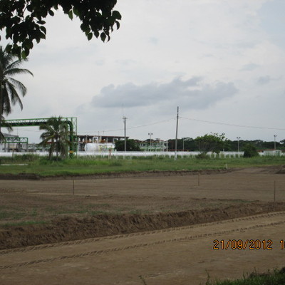 OBRAS