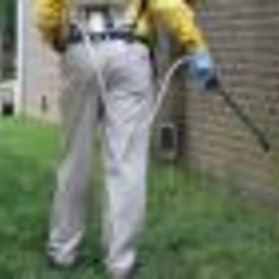 SERVICIO DE FUMIGACIONES URBANAS