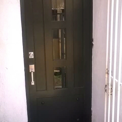Puerta de Seguridad