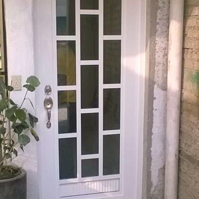 Puerta de Patio Trasero