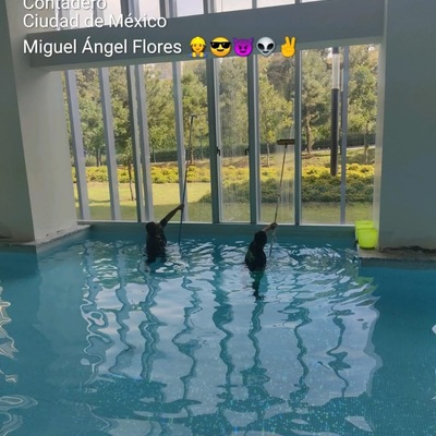 LIMPIEZA