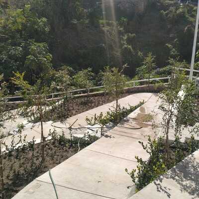 MEJORAMIENTO DEL ENTORNO URBANO