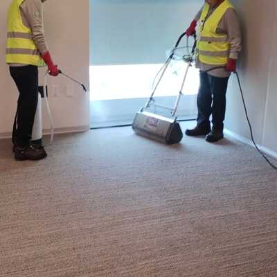 Limpieza profesional de alfombras