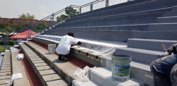 Foto: Gradas Club America Cdmx 1 de México Verde #611637 - Habitissimo