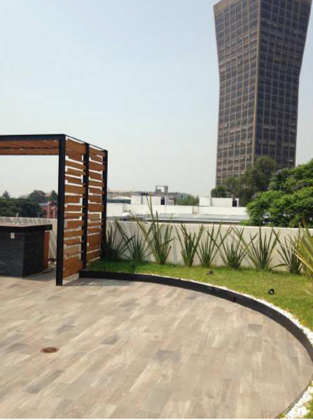 Terraza Colonia Del valle