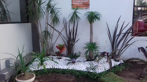 Paisajismo